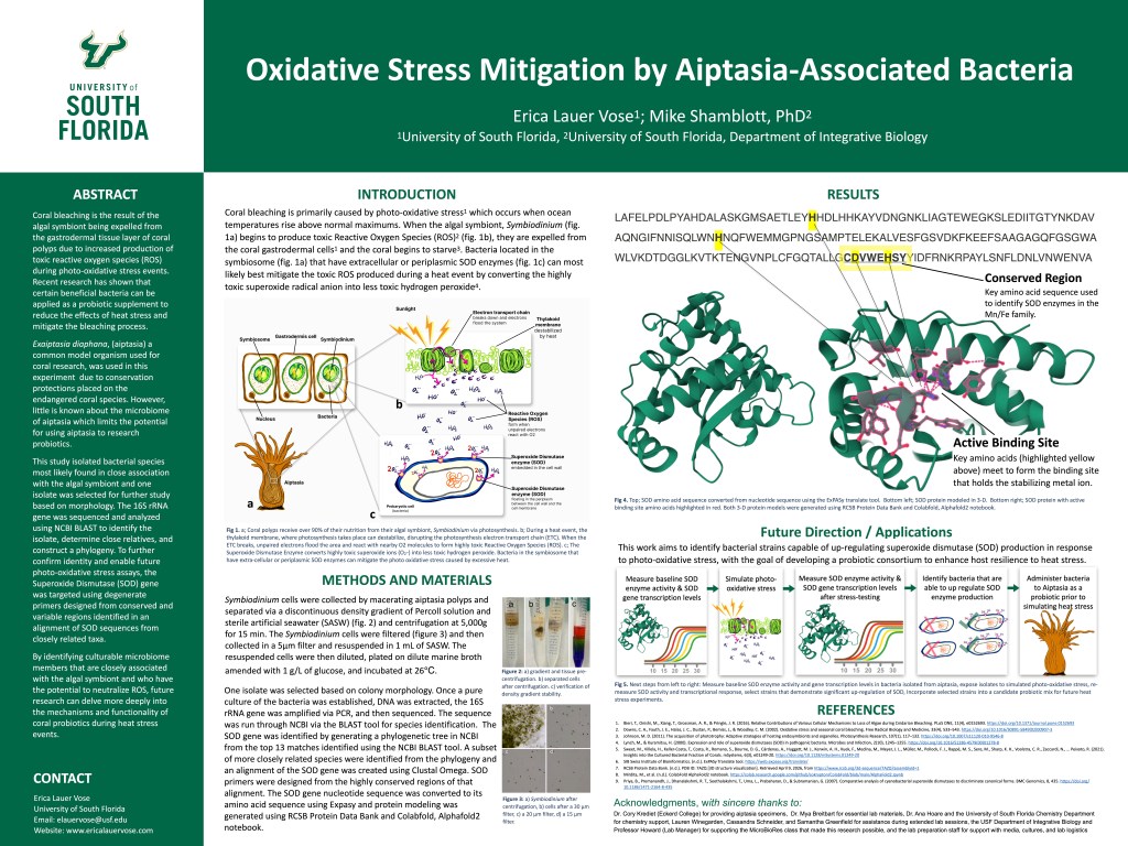 Conference poster image - originally printed at 4 feet by 3 feet.